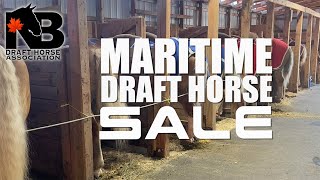 Maritime Draft Horse Sale 2023