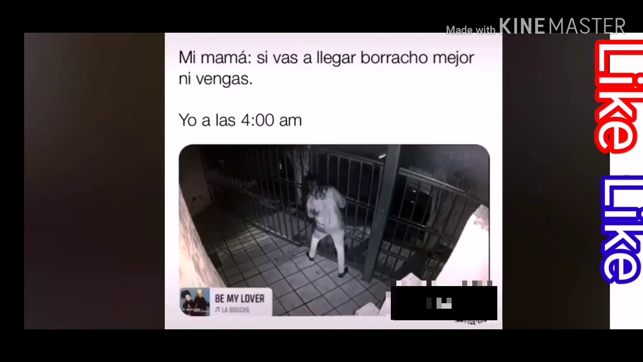 Los mejores videos de risa xD - YouTube