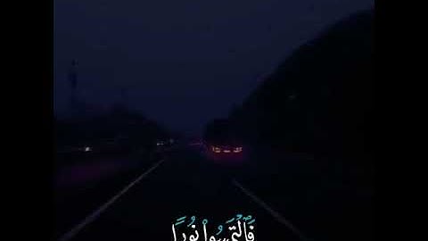القارئ ناصر القطامي (حالة واتس روعه)💦💙