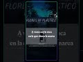 Sharif ft. MXRGXN_Flores de Plástico_Malas compañías Vol.3_2020 #rap #musica #mxrgxn #sharif