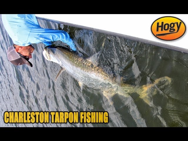This Is How To Catch Tarpon On Cut Bait 