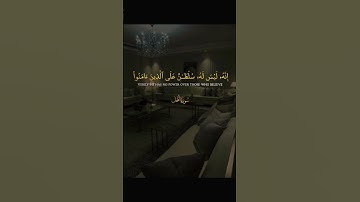تلاوة خاشعة من القارئ ياسر الدوسري #القرآن_الكريم #قرآن #تلاوة_خاشعة #راحة_نفسية #ترند