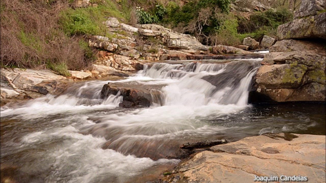 Camel - Stationary Traveller 2003