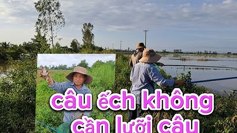 Câu ếch mùa lũ  , câu ếch không cần lưỡi câu rất hiệu quả, câu hứng _ Cà Kê Vlog