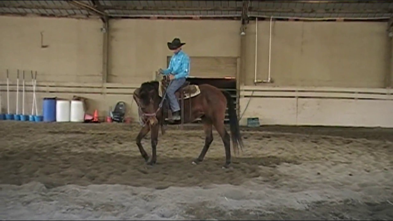 The One Rein Stop is Your Safety Net, Mike Hughes, Auburn California