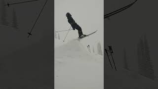 Failed Ski Backflip Results in Skier's Tumble