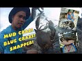 Mud Crab! Blue Crabs and Snapper Catch in Fishing Net "Lambat" | Fishing in Mindoro