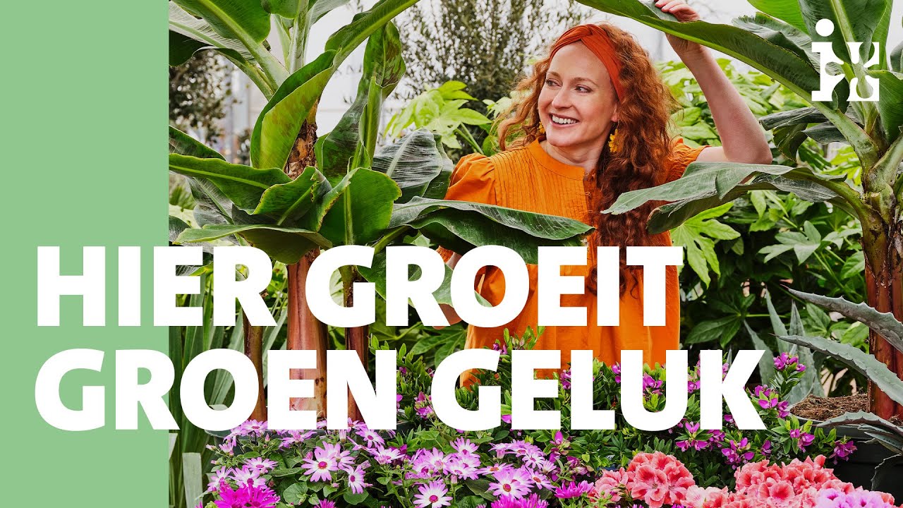 Hier groeit groen geluk - Intratuin