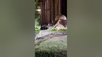 ما تيسر من سورة التحريم ـ د. صهيب النعيمي 