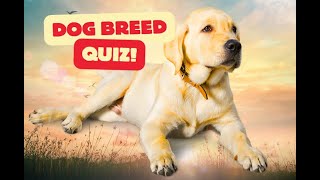 Guess the dog breed quiz | Are you dog's best friend or your own best friend?🐕‍🦺🐾🦴| Fetch the Facts screenshot 2