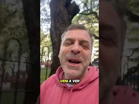 12 de agosto de 2025