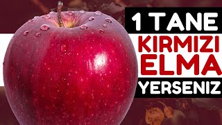 Her Sabah 1 Tane Kırmızı Elma Vücudunuza Bunları Yapıyor Kırmızı Elmanın Faydaları Nelerdir? Resimi