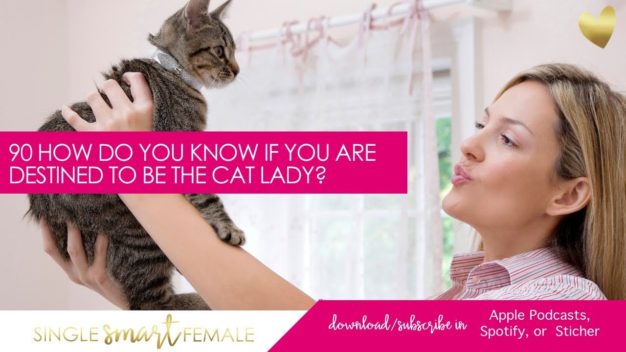 Online dating for single cat lovers …