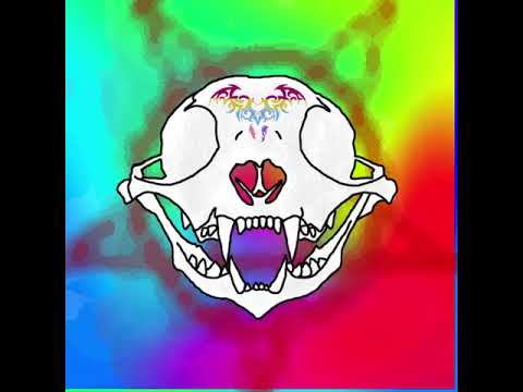 Acid Cat