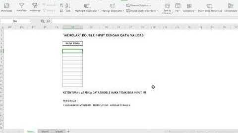 "Menolak" Double Input Dengan Data Validasi (Excel/WPS)