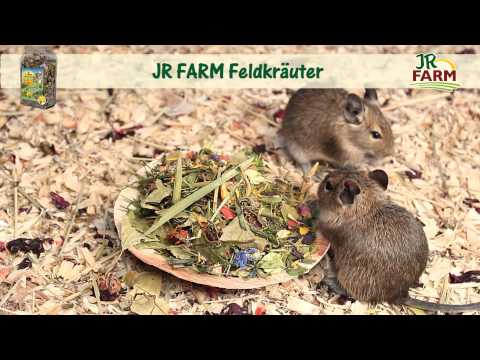 JR FARM - JR FARM Feldkräuter
