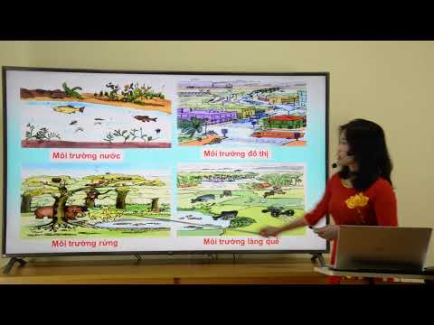 Video Khoa học lớp 5: Bài 62 Môi trường - YouTube