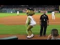 Ladhou astros mascot orbit sways to beyonces single ladies