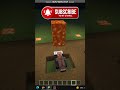 Minecraft creatuer attack test
