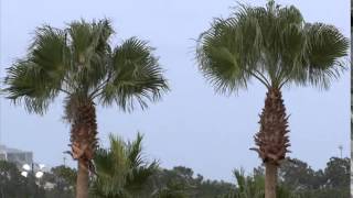 2012 AAU Baseball Underclassman All Star Game (4/4)