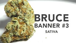 Heavenly Buds Bruce Banner #3
