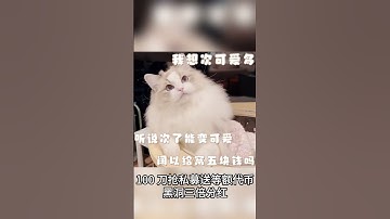 【智能合约 blaze 烈火】#区块链 #web3  #交易所 #dapp #软件开发 #龙链科技