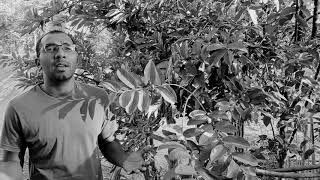 Mitti Ko Kumhar Jaise Christian Worship Song Cover By Vishal Lautre