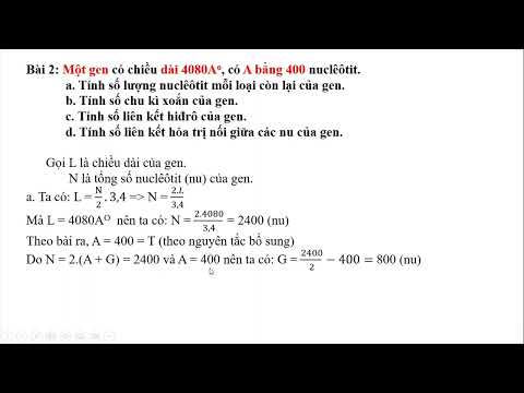 Video Bài tập về cấu trúc của ADN (Gen) - youtube