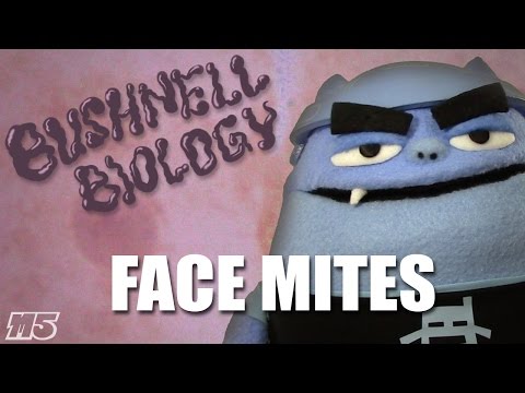 FACE MITES - Bushnell Biology (The Mode 5 Report) #16.3