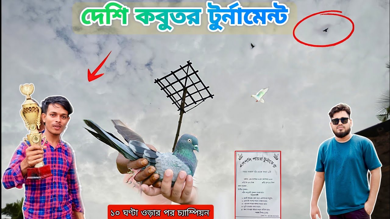 দেশি কবুতর টুর্নামেন্ট 🏆| DESI KABUTAR VS MADRAS FLYING COMPETITION🔥