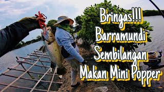 Casting Barramundi di Sembilangan, Sungai Rindu Muara Tawar