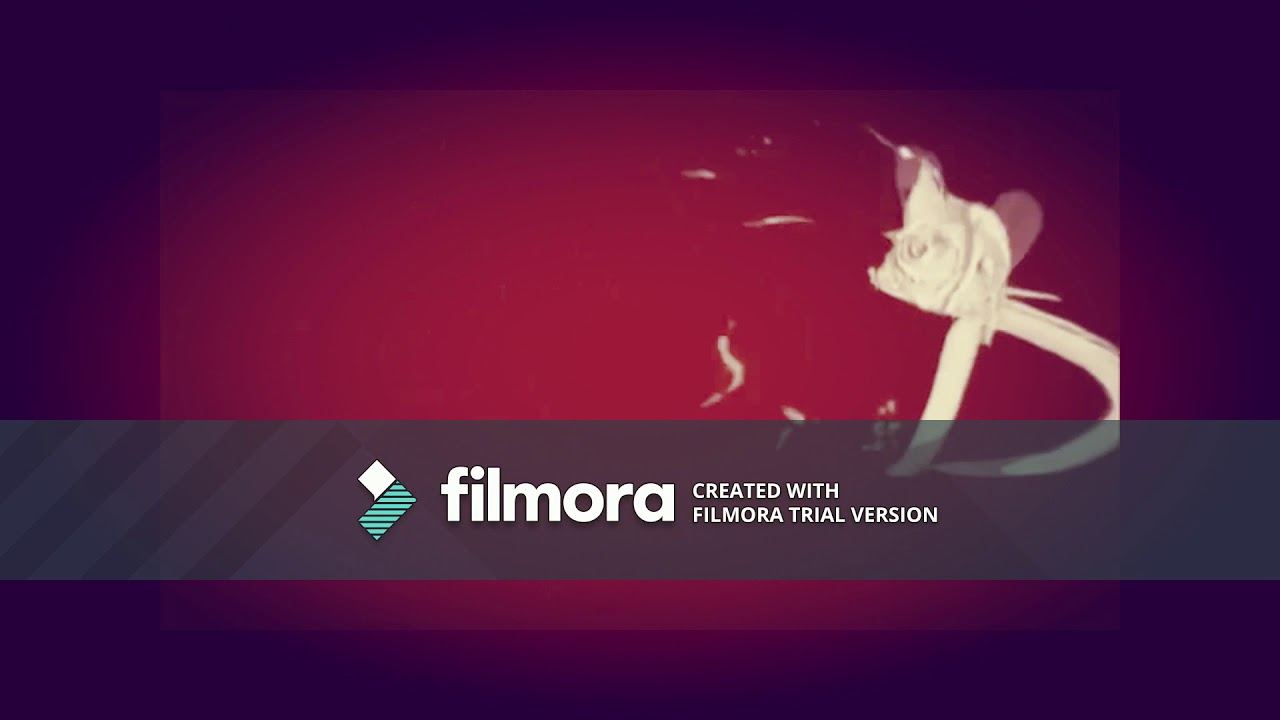 Fremantle Media Effects