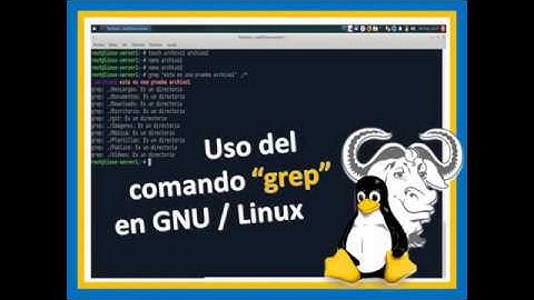 👨🏻‍💻🐧¿Cómo buscar texto dentro de archivos en Linux?