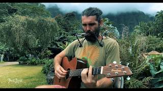 "Green Rows" by Paul Izak (Acoustic at Yogarden) chords