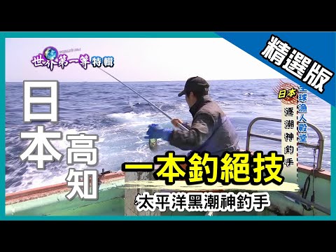 【日本】一本釣絕技 太平洋黑潮神釣手｜《世界第一等》654集精華版