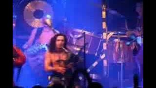 corvus corax-suam elle ires