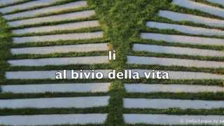 Il Guerriero dell'Amore di Francesco Nigri ©