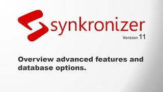 Synkronizer Advanced Features and Database Options - Excel Compare Tool