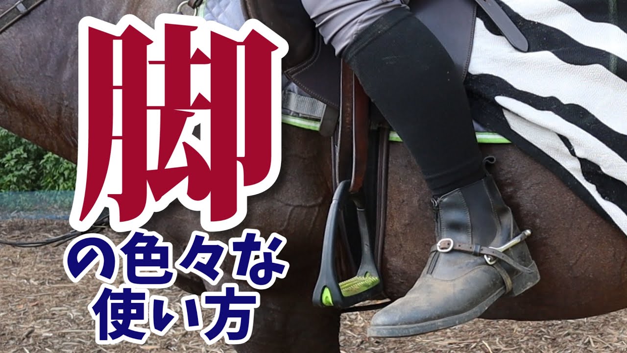 キックなの？圧迫なの？どっちが好きなの？/脚の色々な使い方