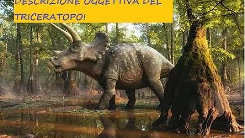 Come fare una descrizione soggettiva di un cane?