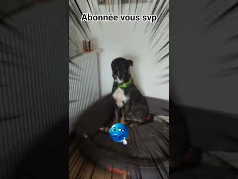 22 juin 2025