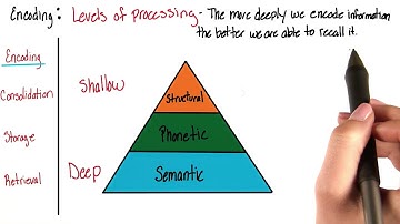 Encoding - Intro to Psychology