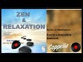 Zen music  relaxing  meditation coppelia olivi