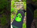 Walking through a super awesome forest #therian #alterhuman #nature #outdoors #safespace #viral