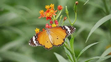 Finding Strength in Weakness.