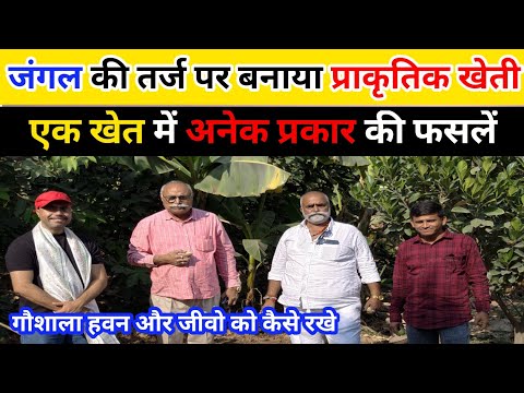 प्राकृतिक खेती का यह मॉडल देख आप भी चोक जायेंगे। जंगल के जैसा खेत कभी सोचा नहीं होगा।