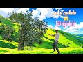 येका येरांडा च्या झाडाला किती येरांडा निघाते पाहुया😲🌱🌿ek yeranda chya zadala kiti yeranda nightat pa