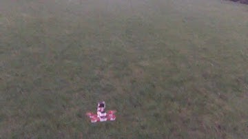 3D printed Quadcopter first flight (head mounted footage)
