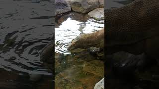 Monitor Your Water!