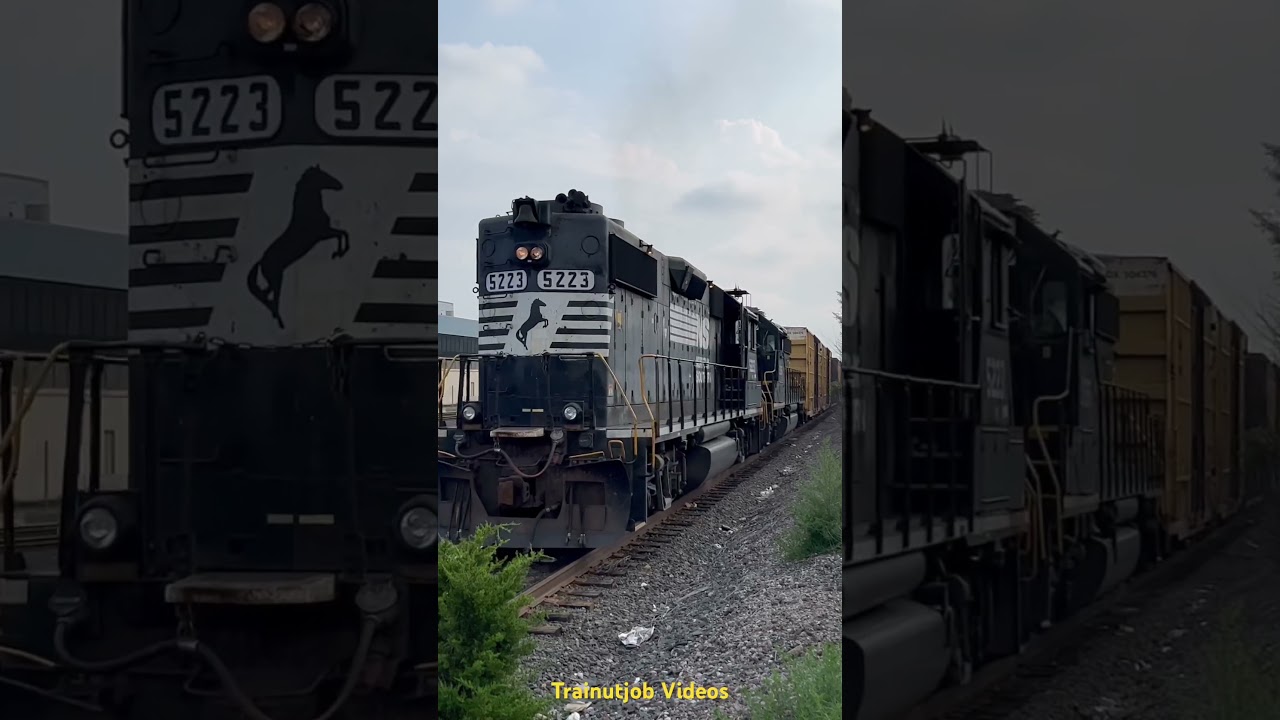 NS 5223/3365 on a Pavonia Remote Job 